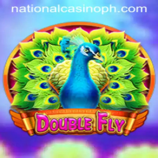 Exploring DoubleFly: A Thrilling Game at National Casino