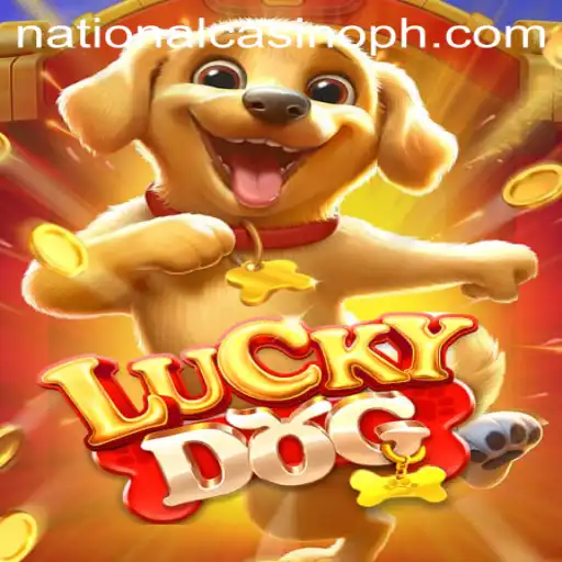 The Allure of LuckyDog and Its Place in the National Casino Scene